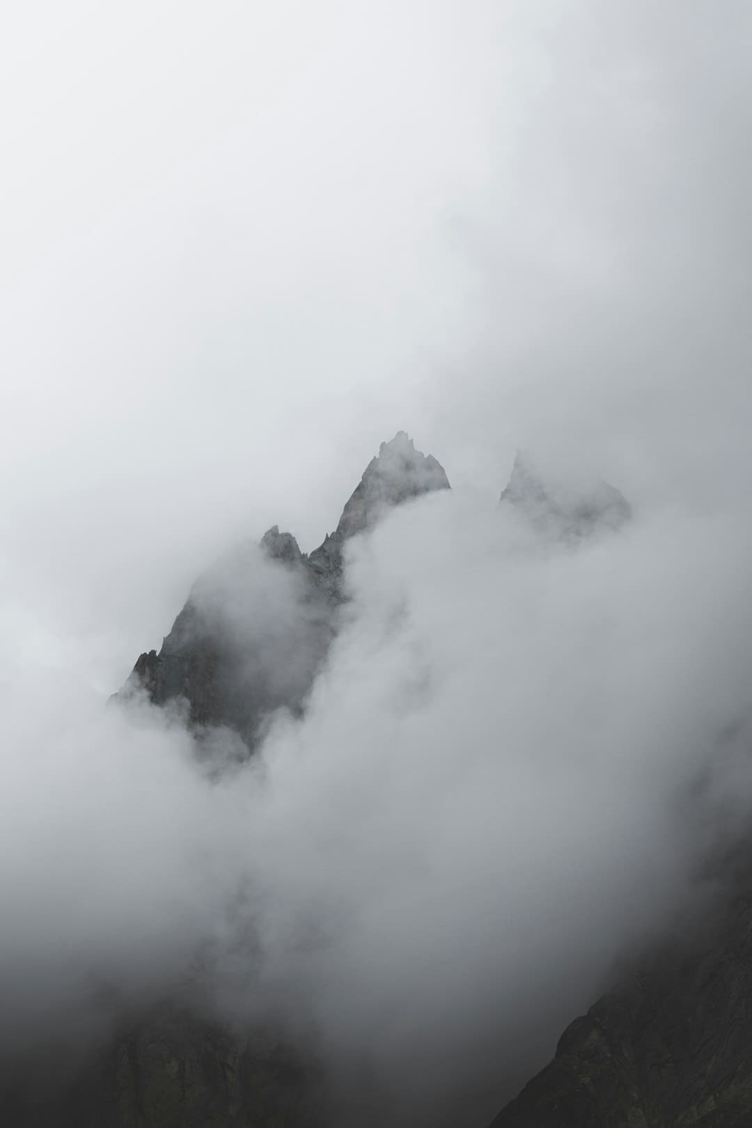 库格勒继任者极有或许成为美联储掌舵者？一文读懂